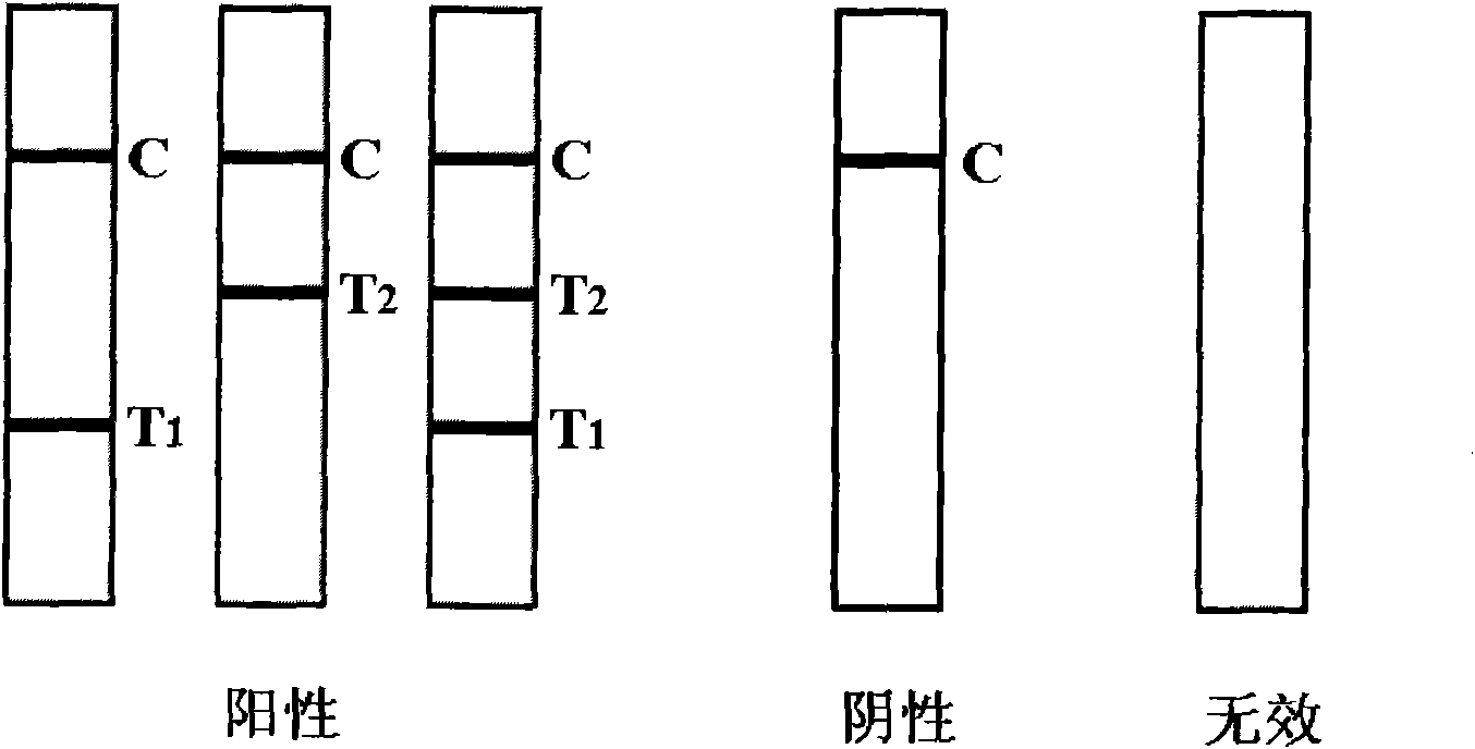 HSV-I and HSV-II IgM antibody joint inspection kit and preparation method thereof