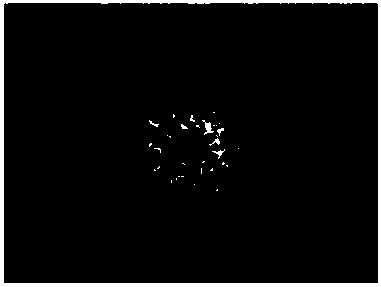 A method for automatically generating a tetragonal continuous pattern based on content features