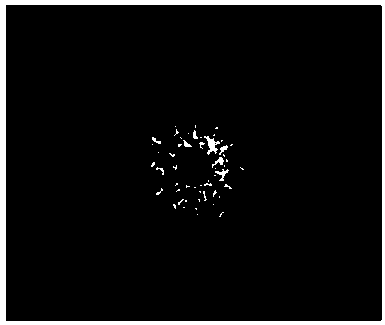 A method for automatically generating a tetragonal continuous pattern based on content features