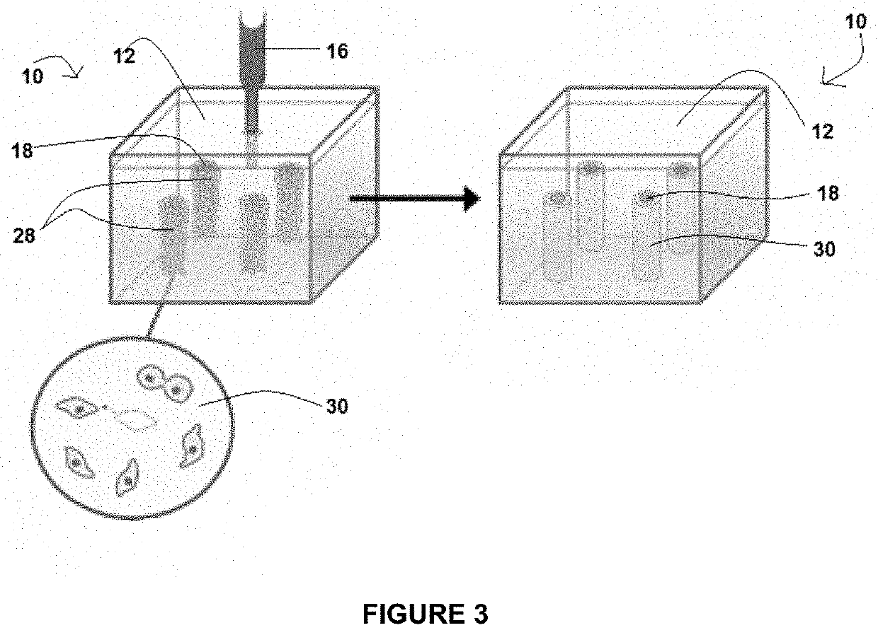 Thermally responsive microgel particles for cell culture applications