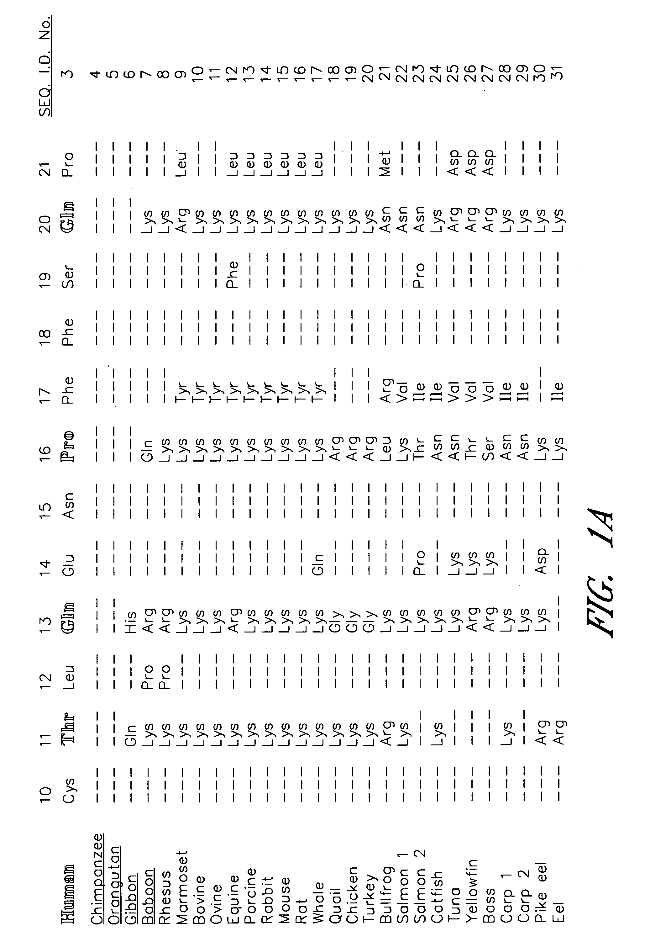 Glycoprotein hormone superagonists