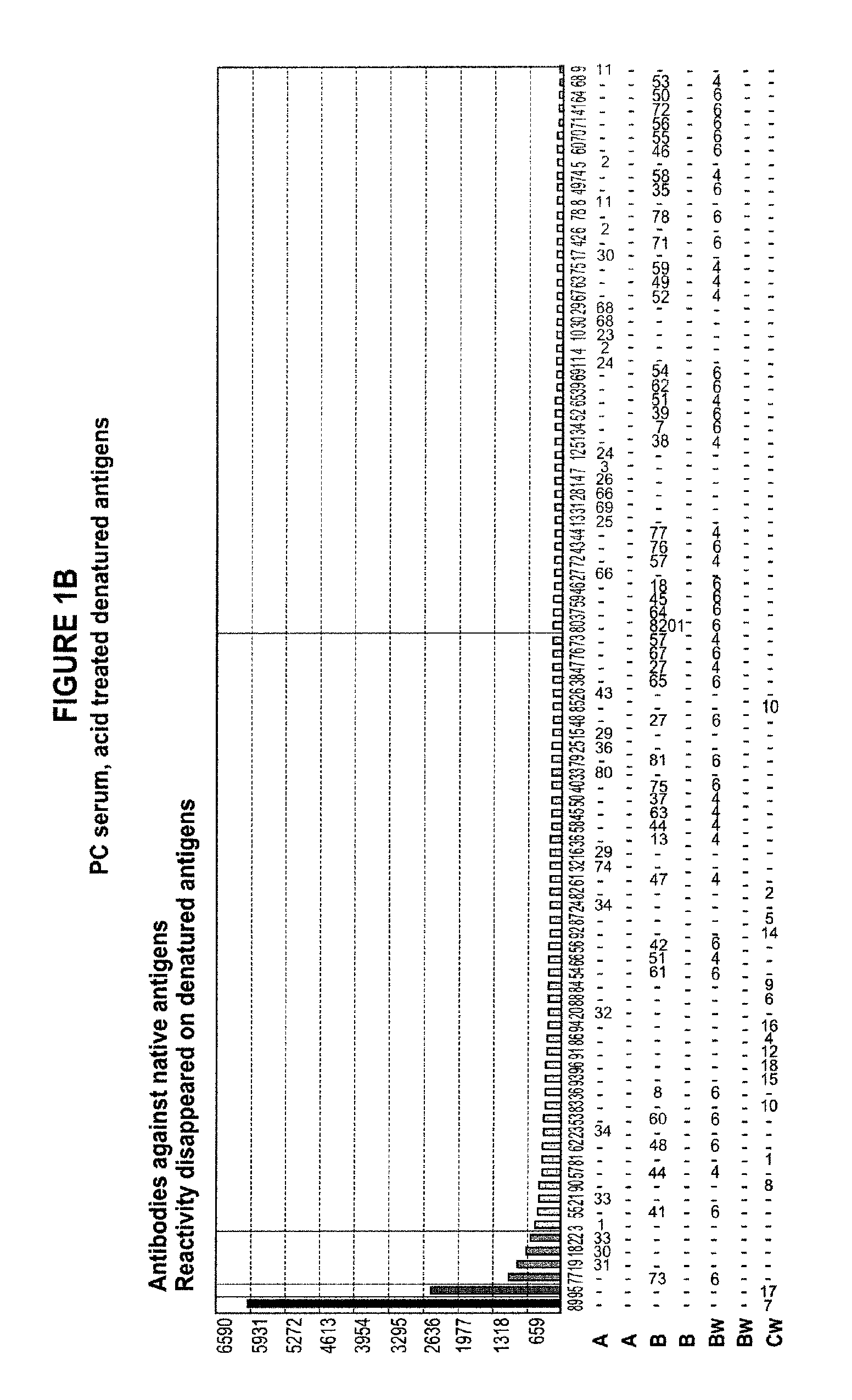 Methods of detecting antibodies specific for denatured HLA antigens