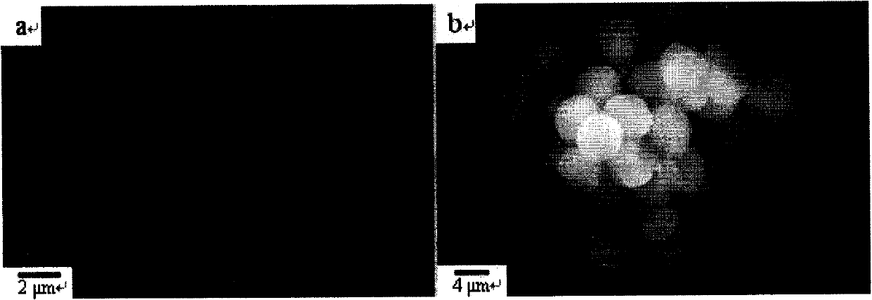 Raspberry-like polystyrene microsphere/silicon dioxide composite particles and preparation method and use thereof