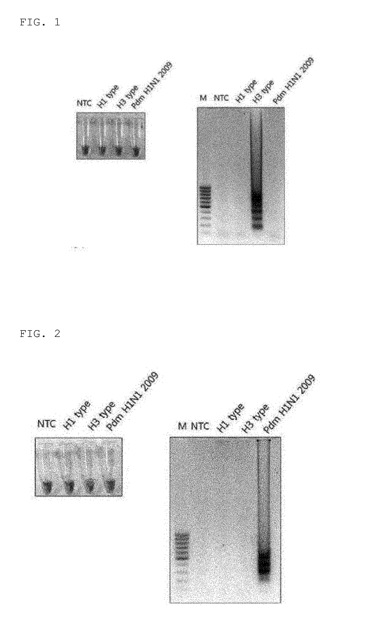 Primers for detecting influenza by using lamp, and use thereof