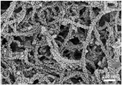 A kind of preparation method of anisotropic conductive polymer composite film