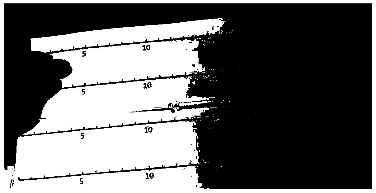 Polymer hydrogel and preparation method thereof