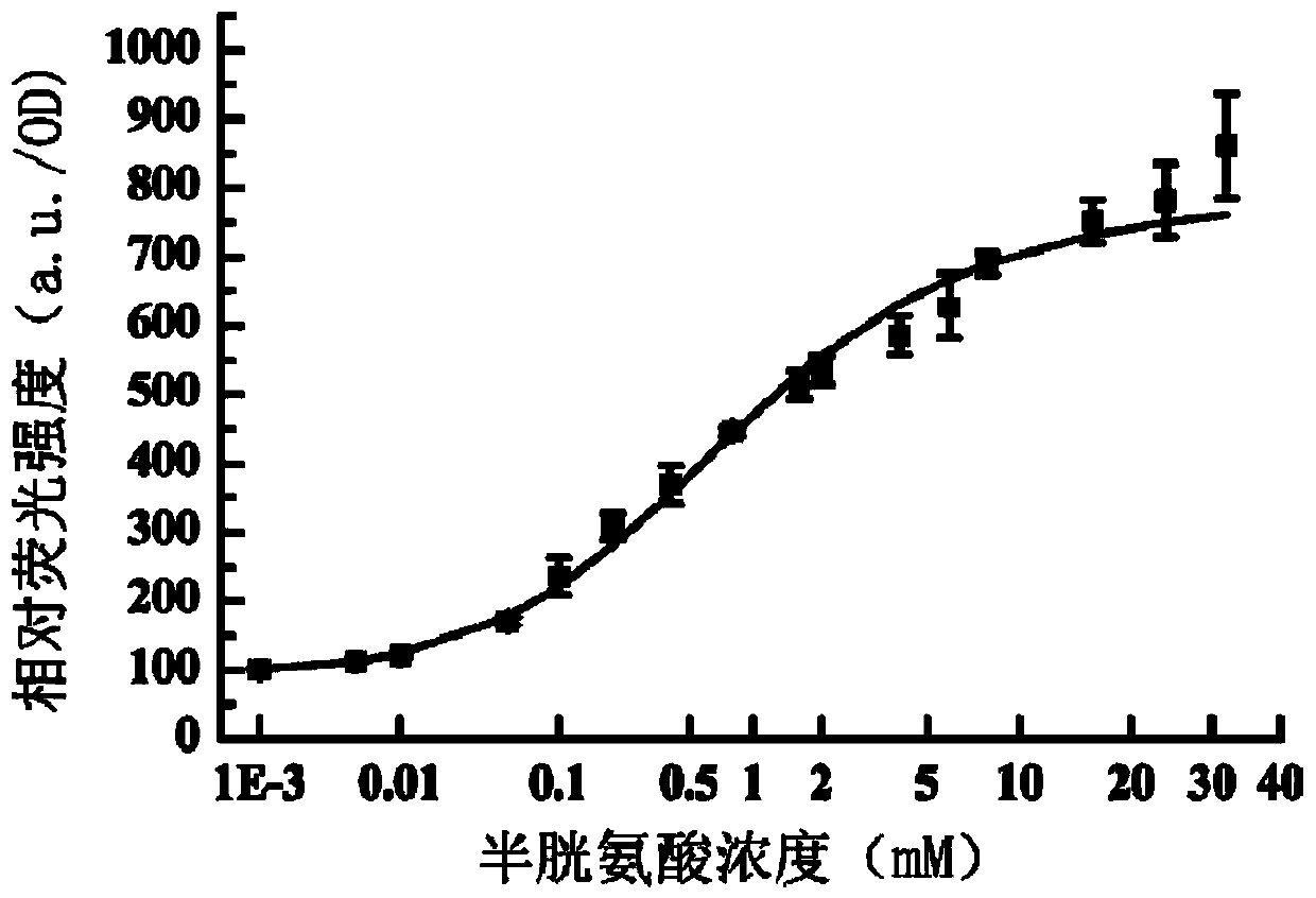 Construction and application of cysteine single-cell biosensor