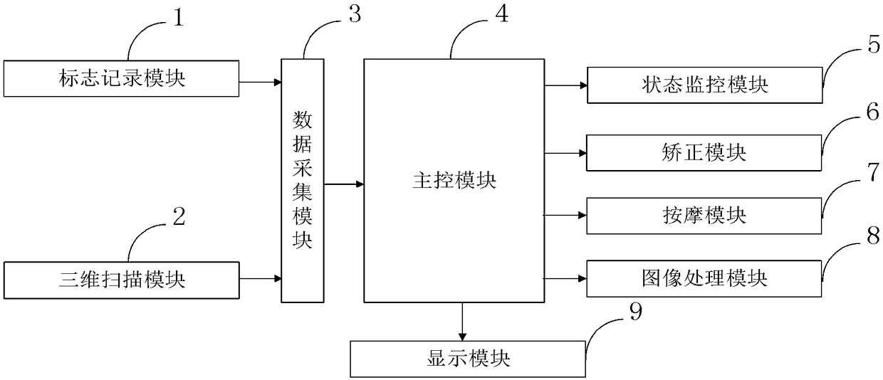 Spinal dynamic function detecting system