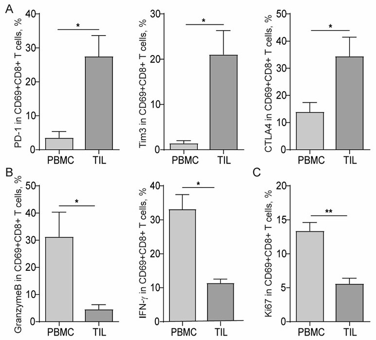 Application of PLPP1 in preparation of T cell immune tumor related medicament