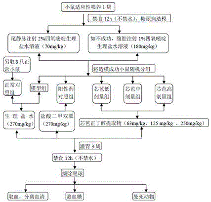 Application of n-butanol extract of Mongolian medicine Xinba in the preparation of anti-diabetic drugs