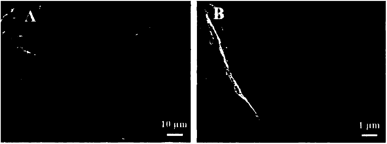 A kind of preparation method of molybdenum sulfide/graphene-graphene nanoribbon airgel composite material