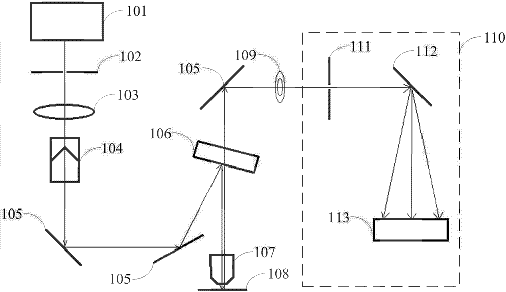 Raman spectroscopic detection apparatus