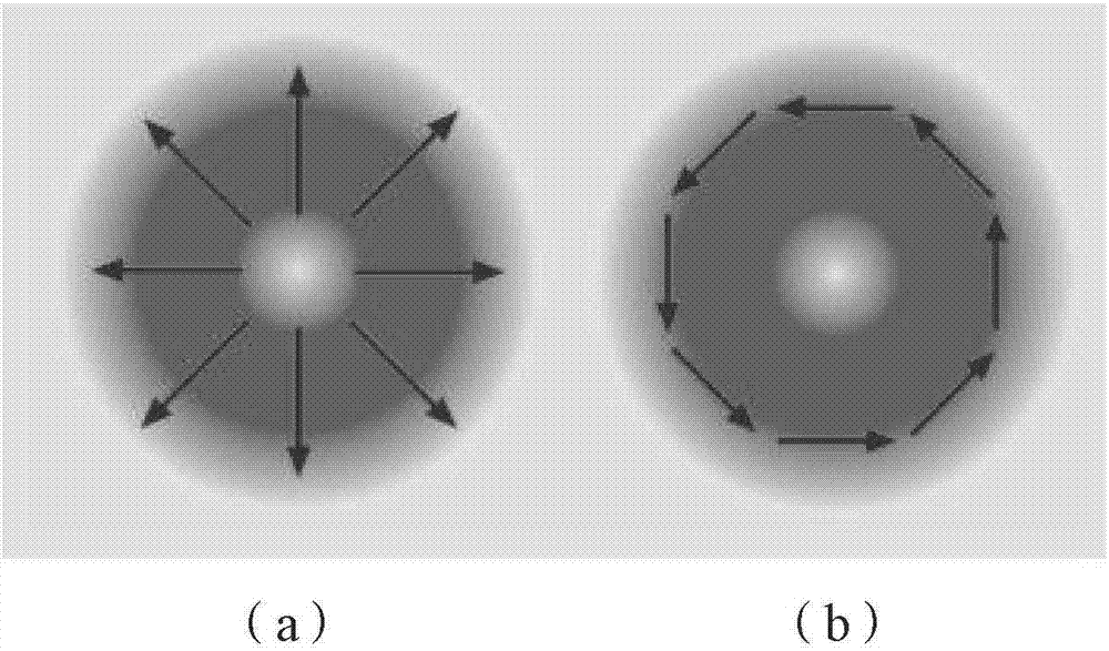 Raman spectroscopic detection apparatus