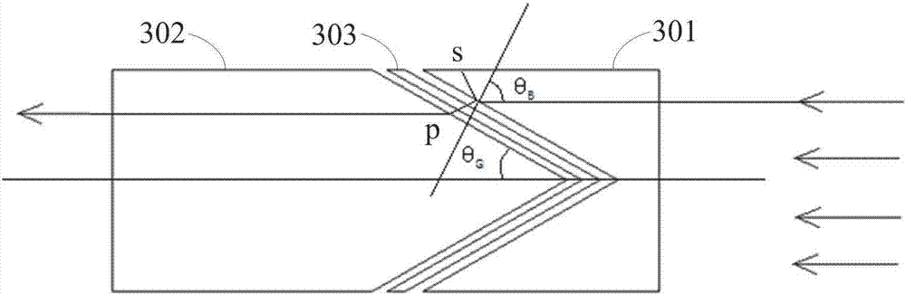 Raman spectroscopic detection apparatus