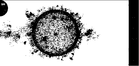 Microblog data processing visualization system based on 3D (3-dimensional) model