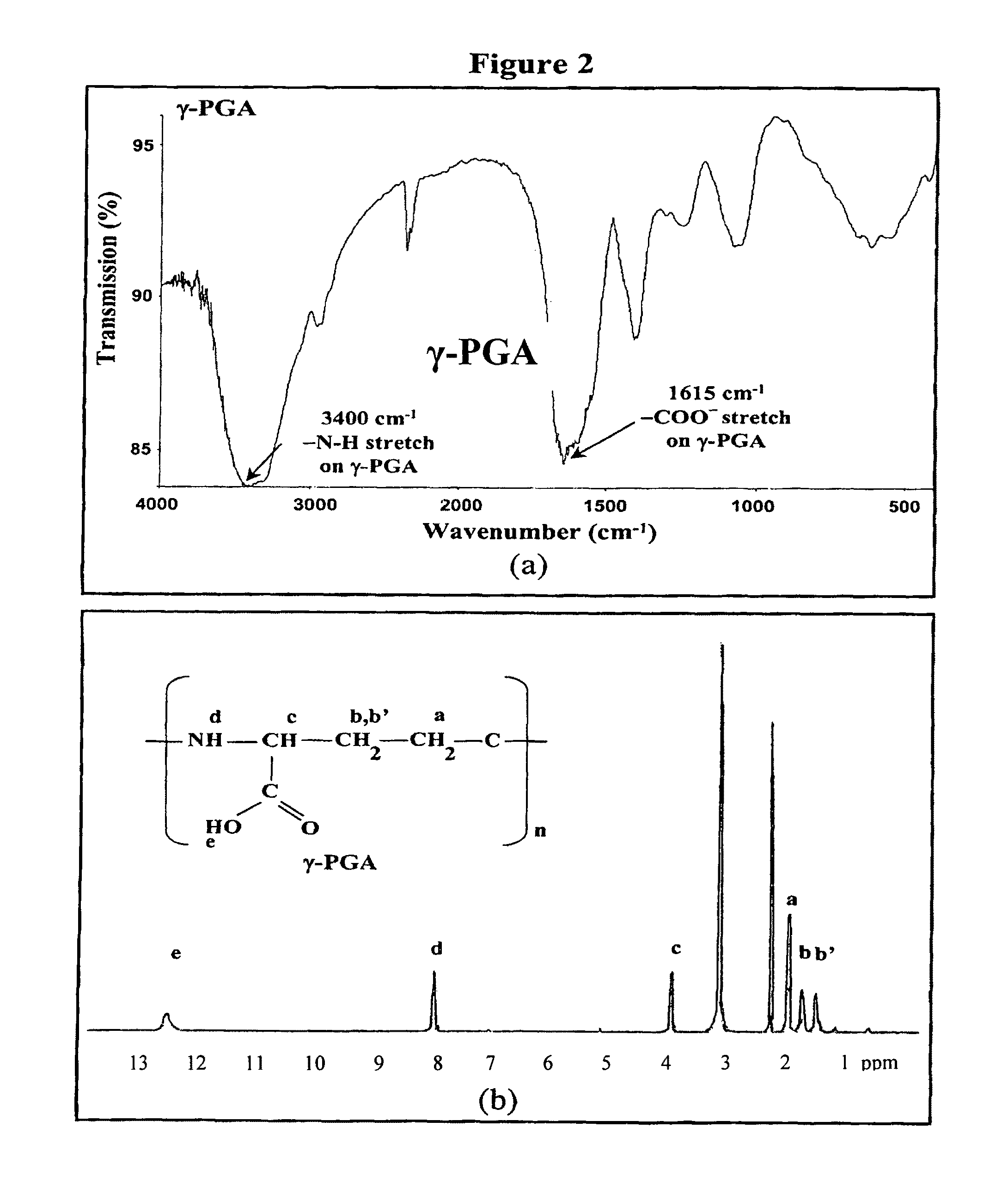 Pharmaceutical composition of nanoparticles