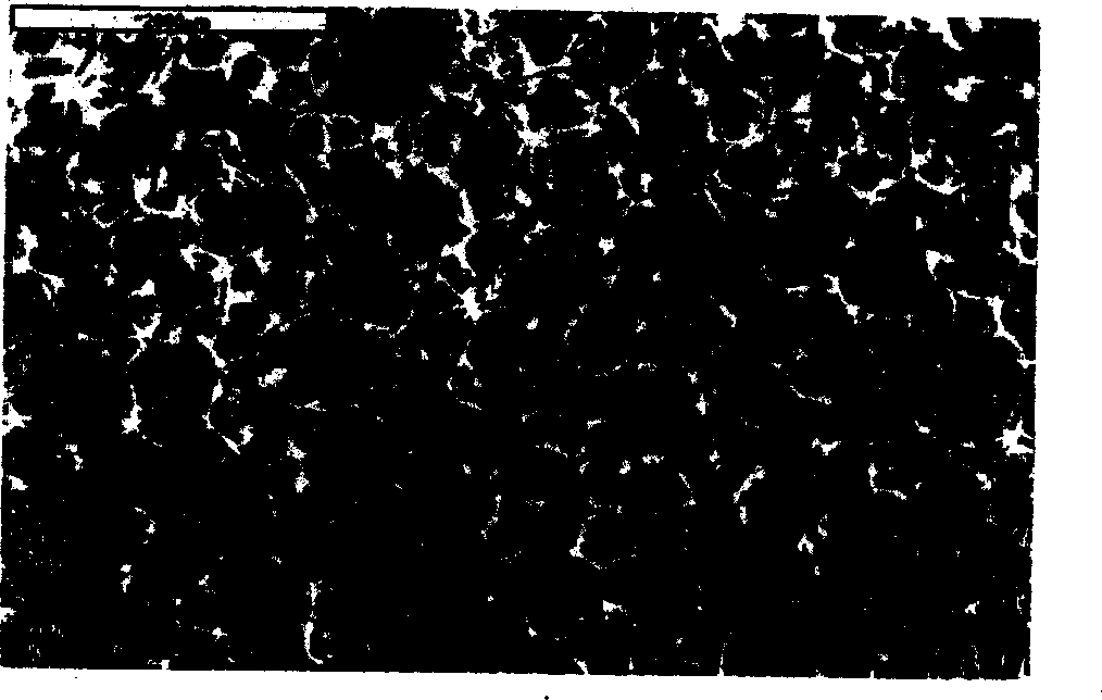 Prepn of foamed aluminium