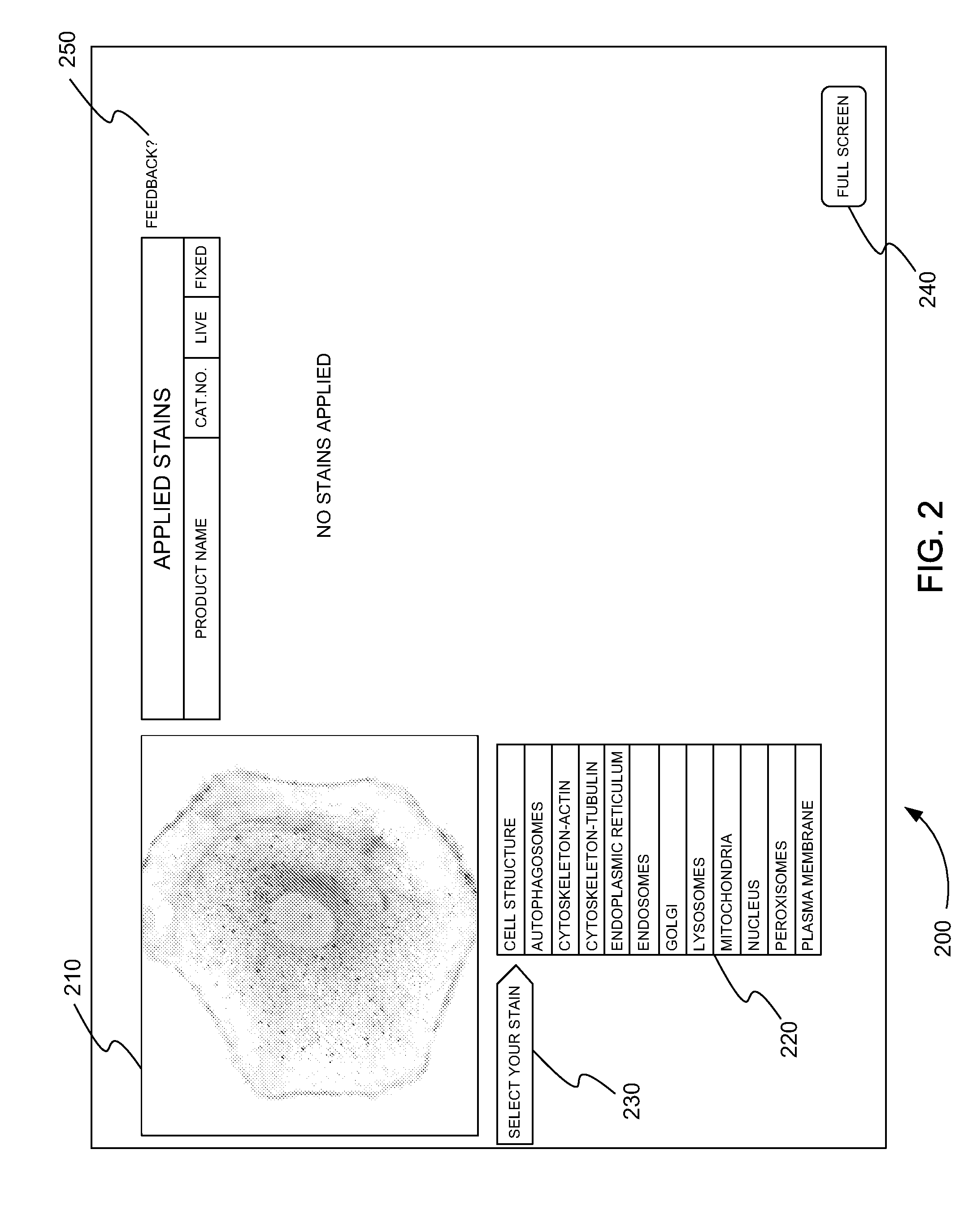 Virtual cellular staining