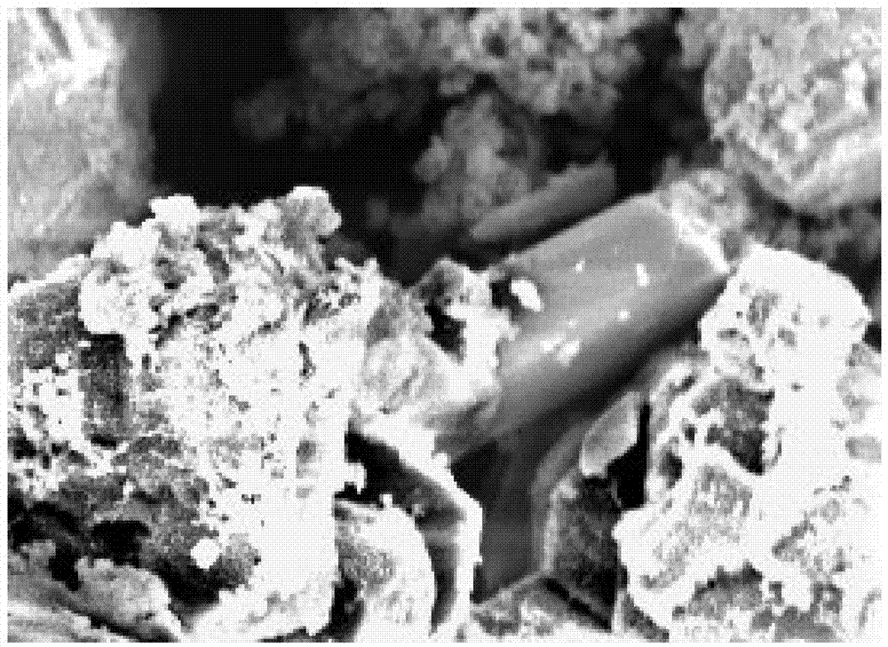 Fluoride solidifying agent for treating fluorine pollution caused by burning coal and preparation method and application method thereof