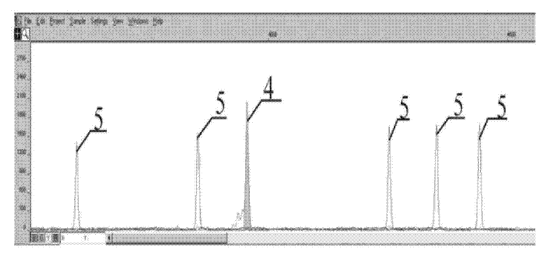 Method, kit and application for detecting STR locuses of hepatitis B infected related gene