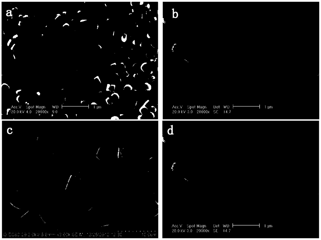 Core-shell metal hybrid silicate-1/SAPO-5 composite molecular sieve ceramic membrane and preparation method thereof