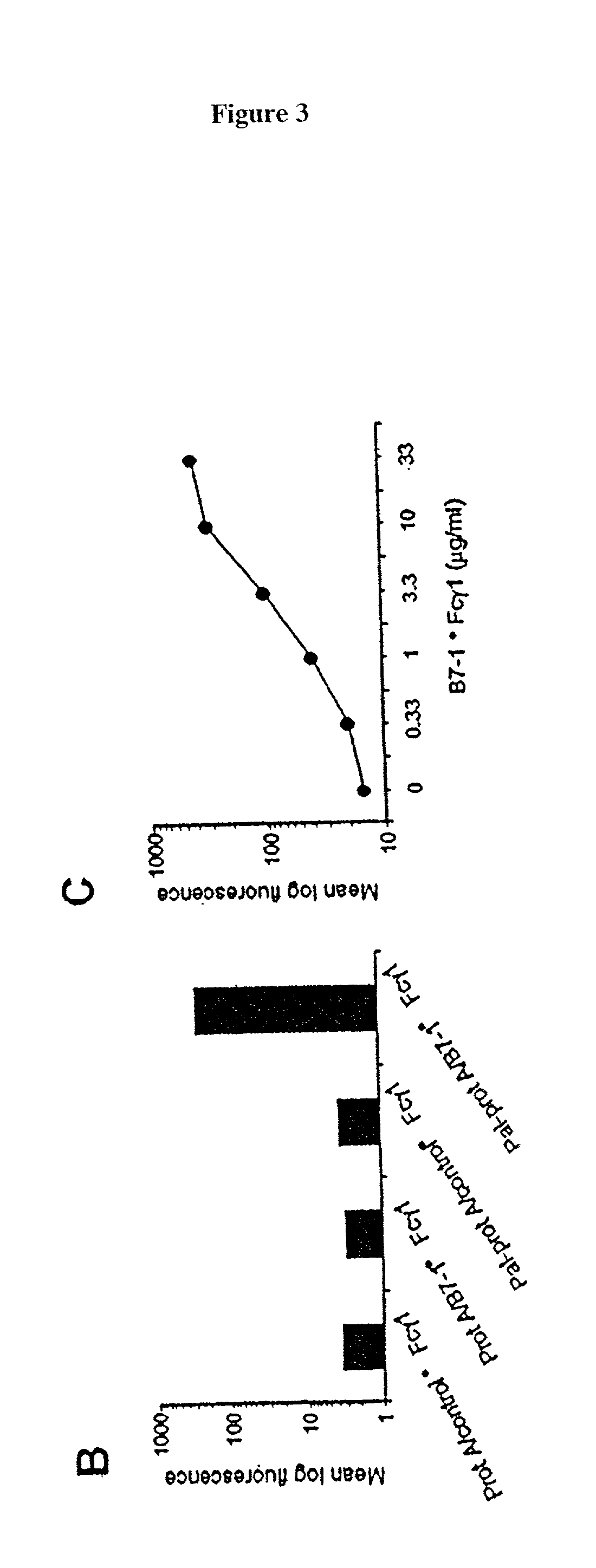 Methods for protein transfer