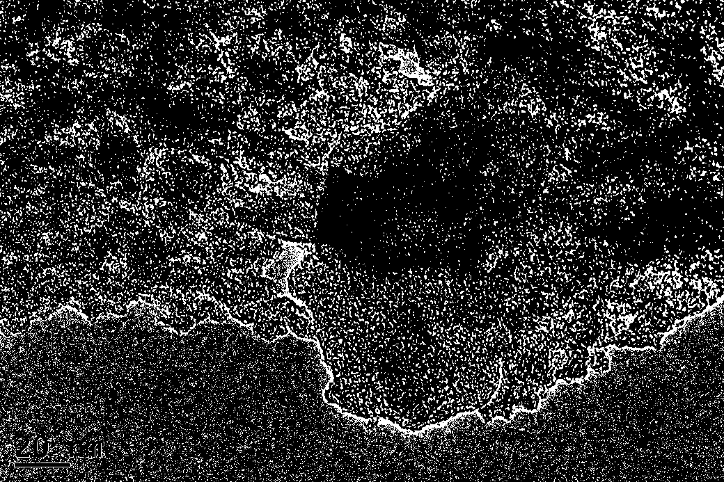 A template-free preparation method of hierarchical porous activated carbon electrode material