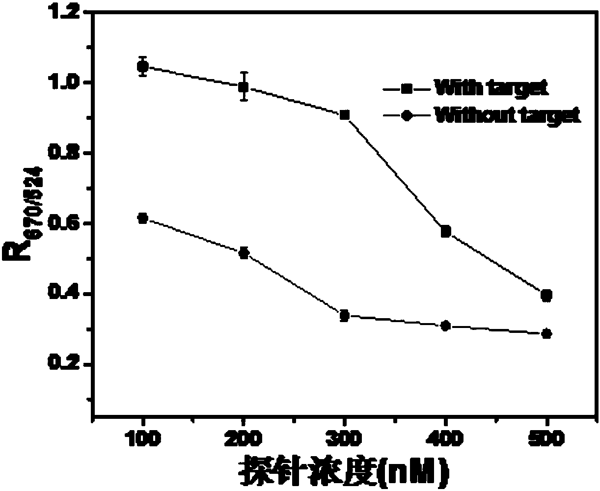 A kind of diblock molecular probe and its rapid detection method for nucleic acid