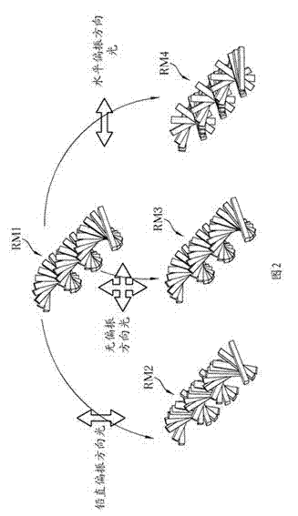 Stereo display device and manufacturing method thereof