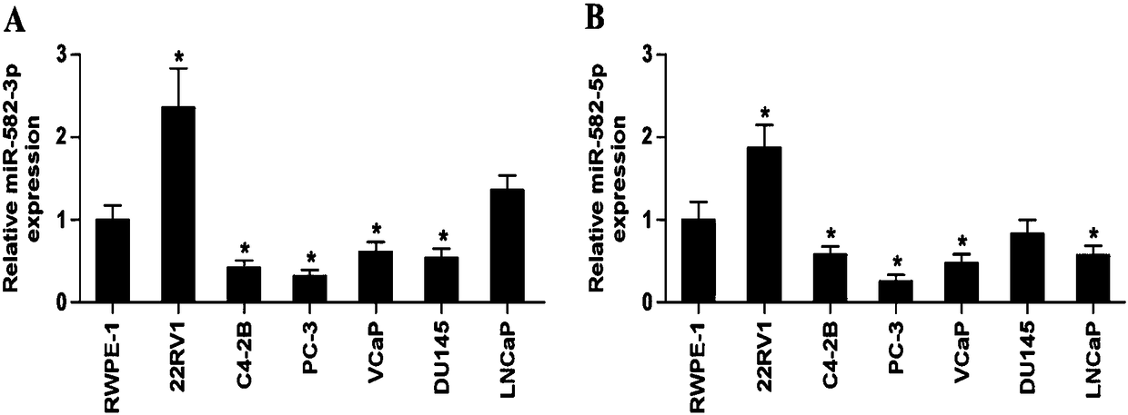 Application of miR-582 in preparing prostatic cancer osseous metastasis diagnosis and prognosis kit and medicine