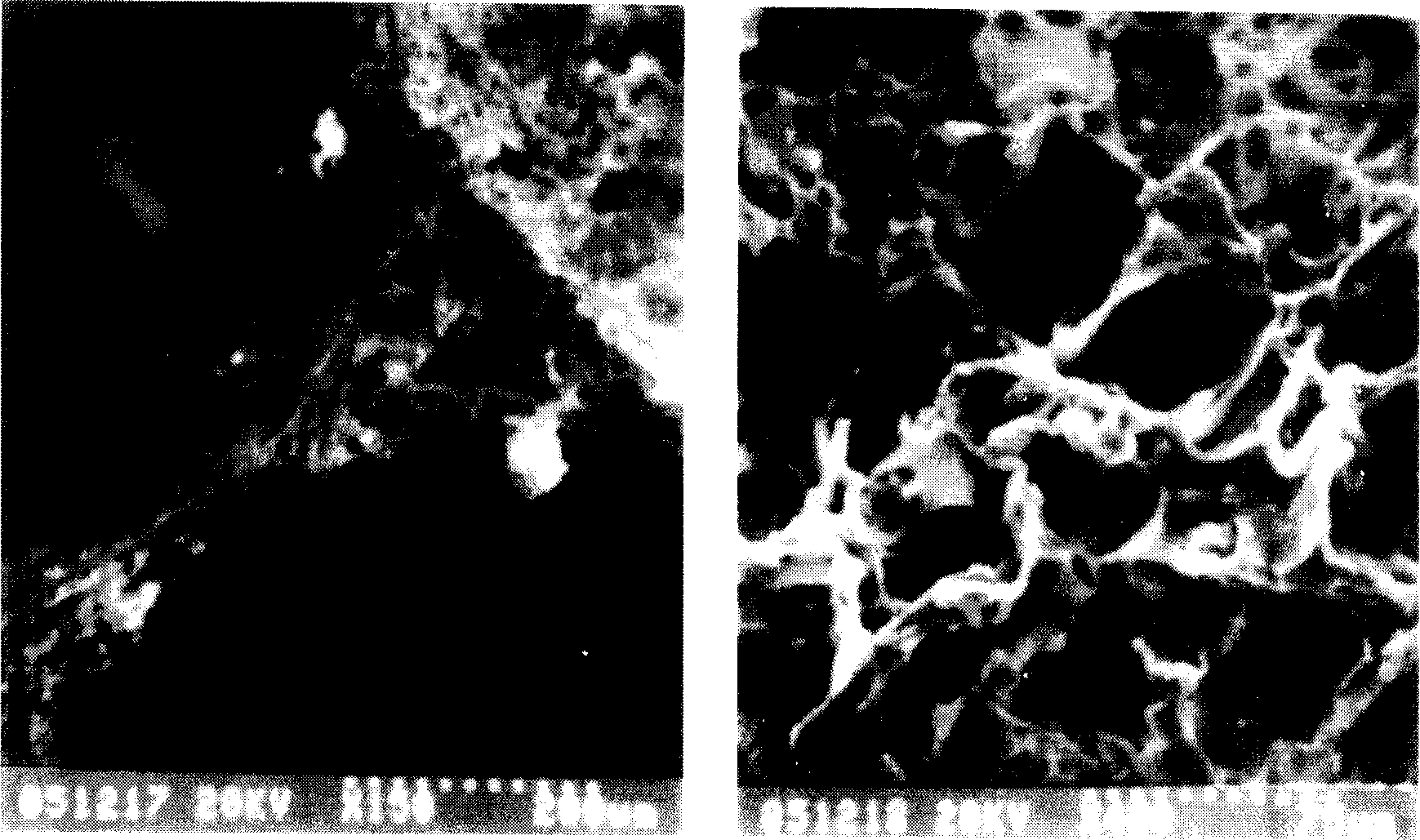 Suspension microorganism carrier and its preparation method