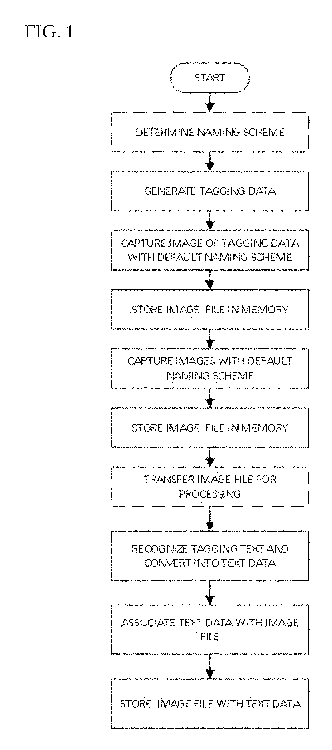 Method and system for organizing digital files