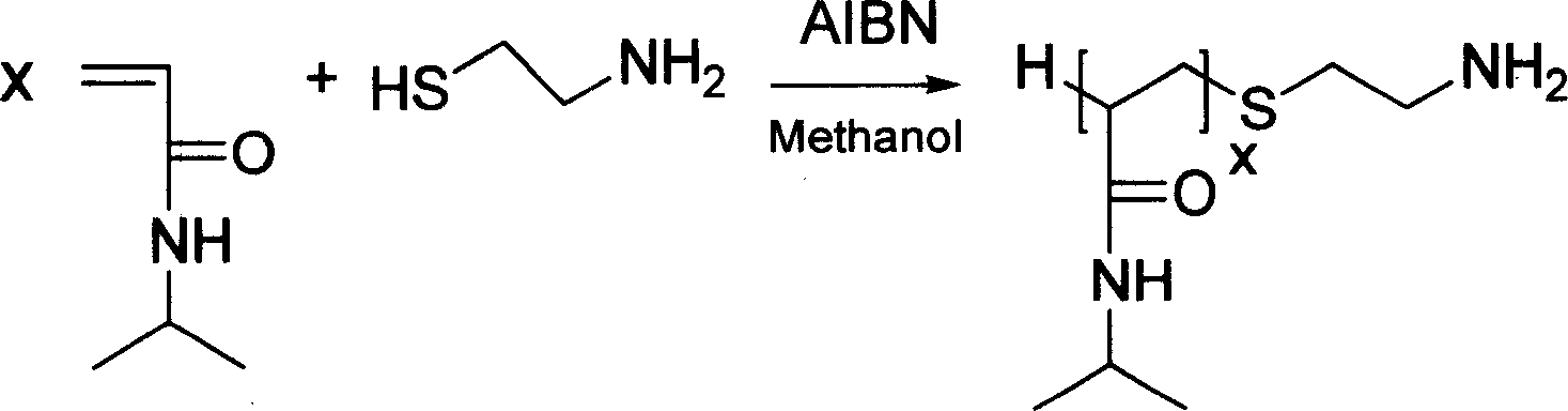 Poly N-isopropyl-acrylic-amide-poly amino-acid two-block copolymer and preparing method