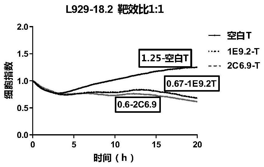 CLDN18.2-targeted chimeric antigen receptor and composition and application of CLDN18.2-targeted chimeric antigen receptor