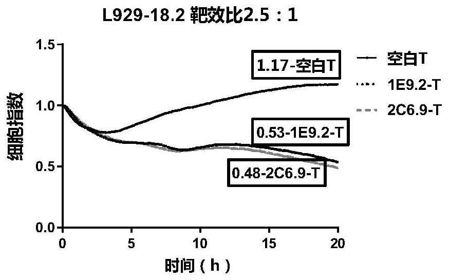 CLDN18.2-targeted chimeric antigen receptor and composition and application of CLDN18.2-targeted chimeric antigen receptor