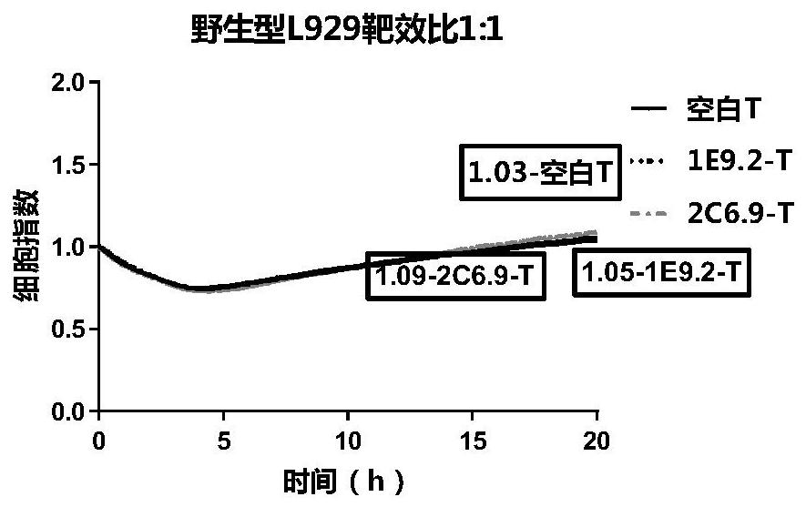 CLDN18.2-targeted chimeric antigen receptor and composition and application of CLDN18.2-targeted chimeric antigen receptor