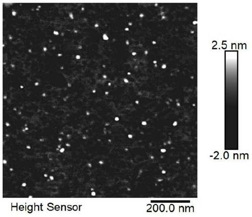 Self-assembled carnosine fluorescent nanoparticles, preparation method and application