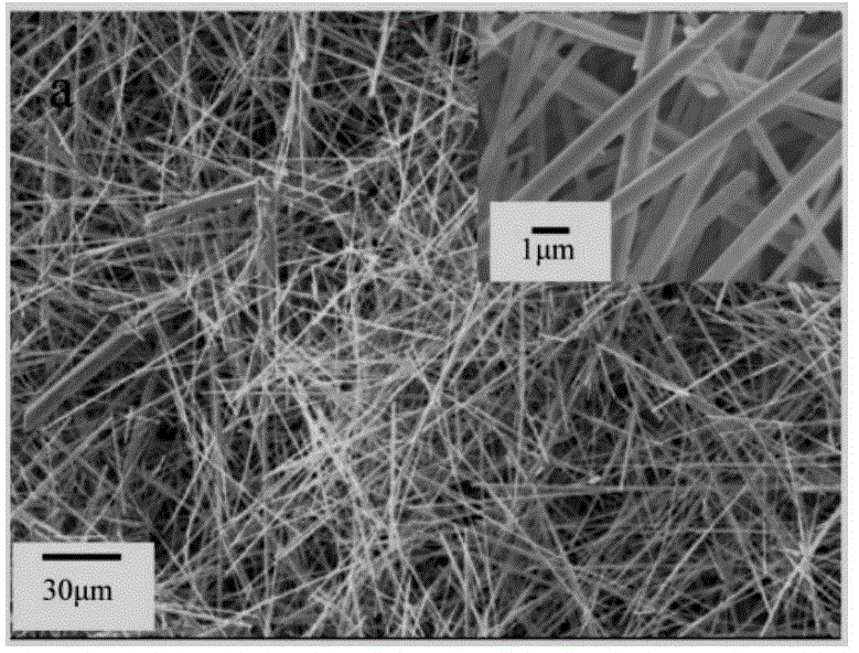 Method for preparing calcium sulfate whiskers with oyster shells