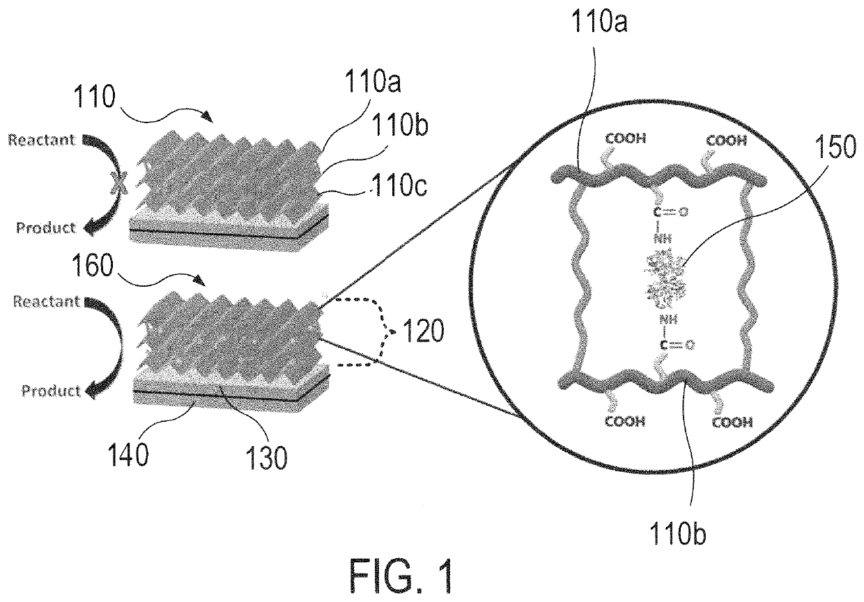 Hydrogel-enzyme systems and methods