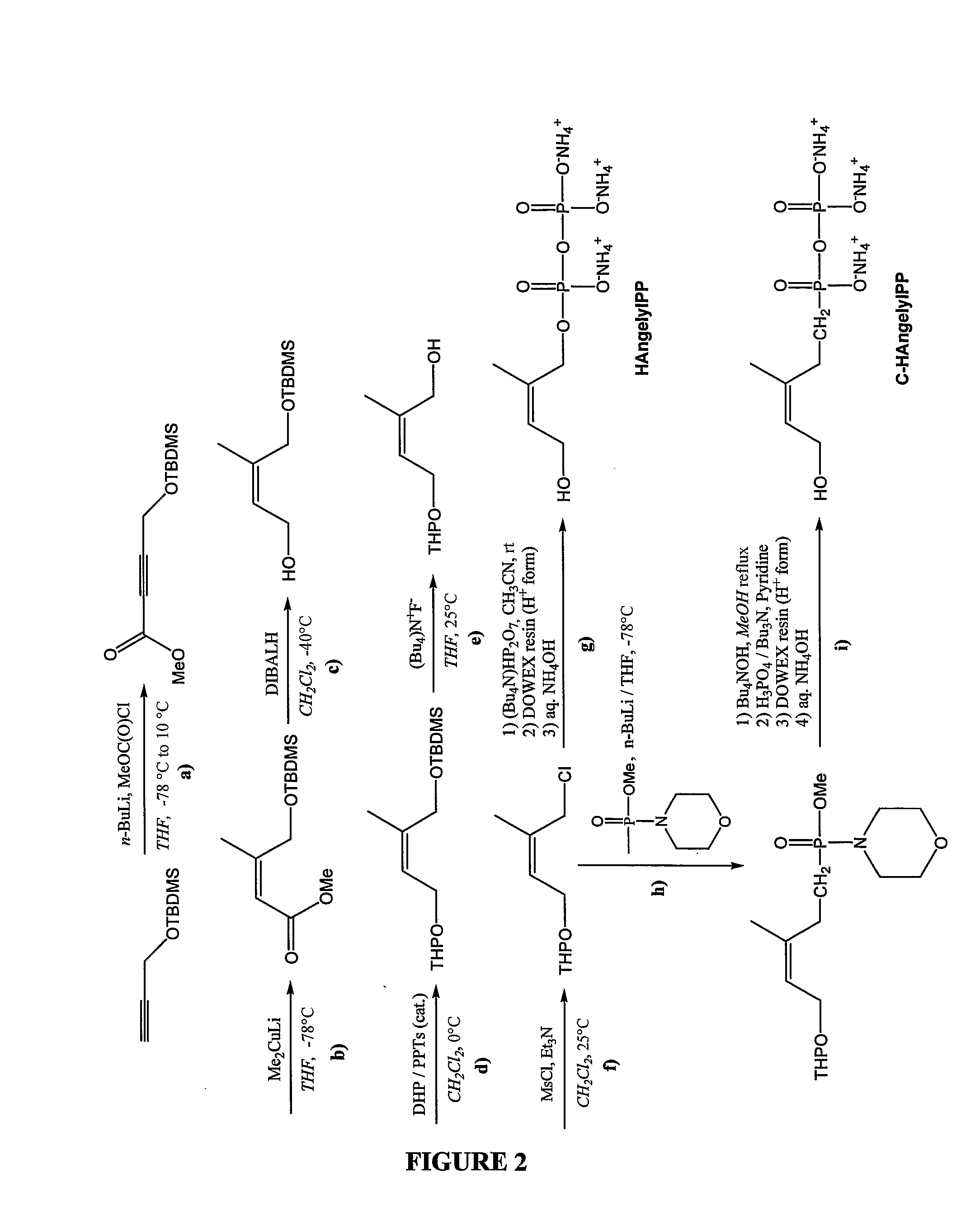 Class of Gamma Delta T Cells Activators and Use Thereof