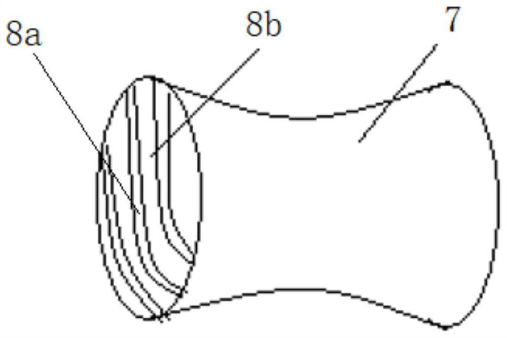 Electromagnetic shock wave bird repelling cannon and bird repelling device