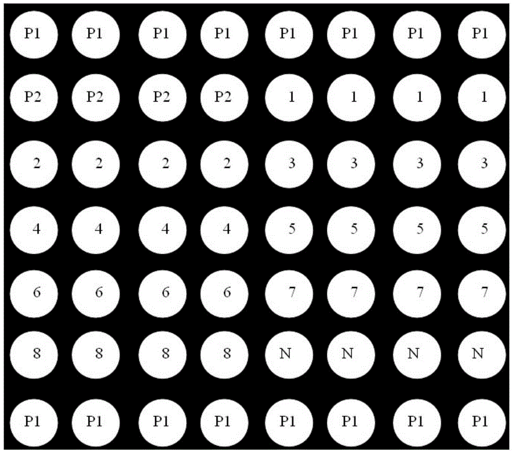 Gene chip for detecting peste des petits ruminants virus and detecting method for gene chip