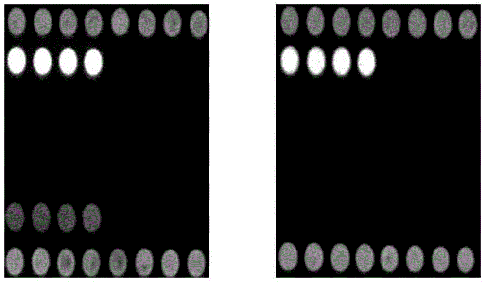 Gene chip for detecting peste des petits ruminants virus and detecting method for gene chip