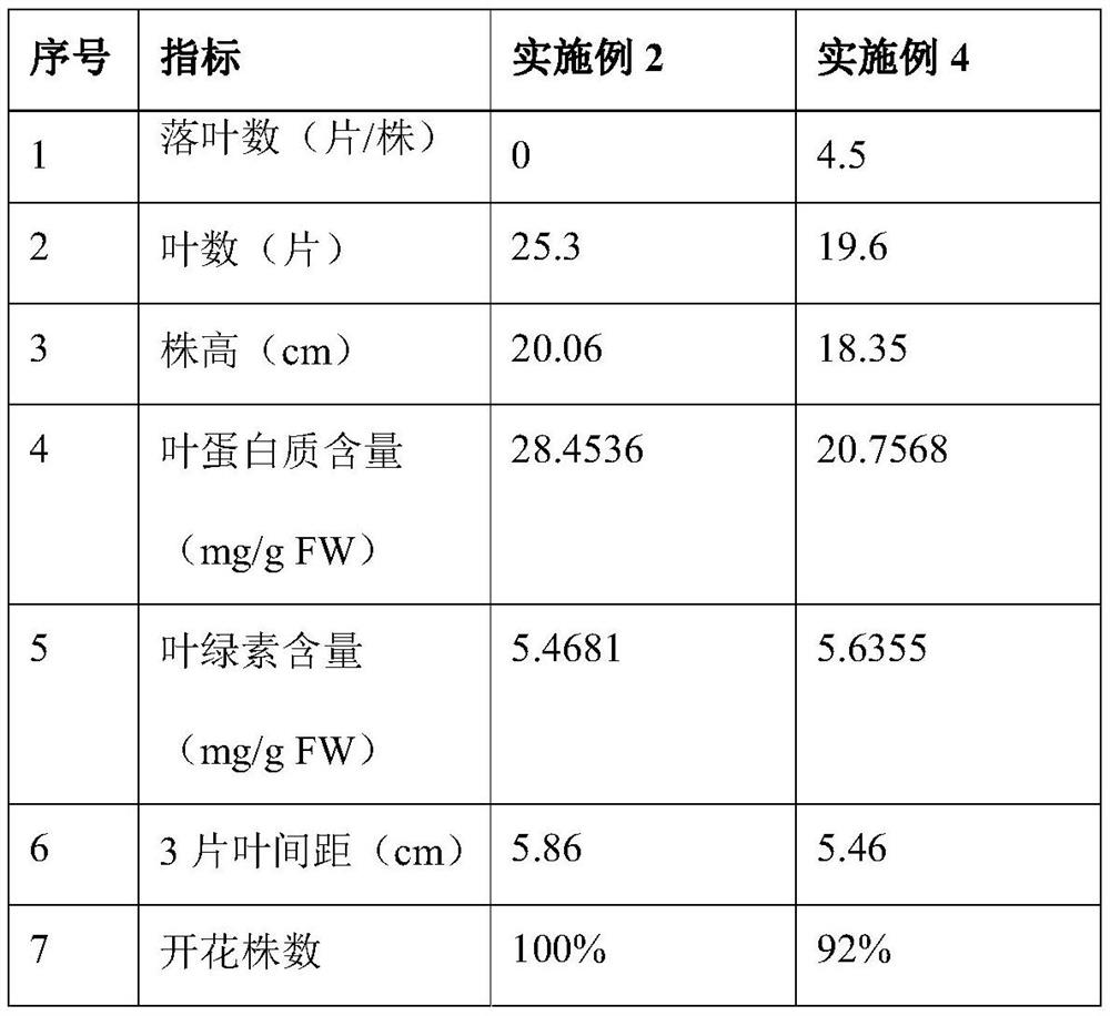 Method for regulating and controlling flowering period of bougainvillea spectabilis