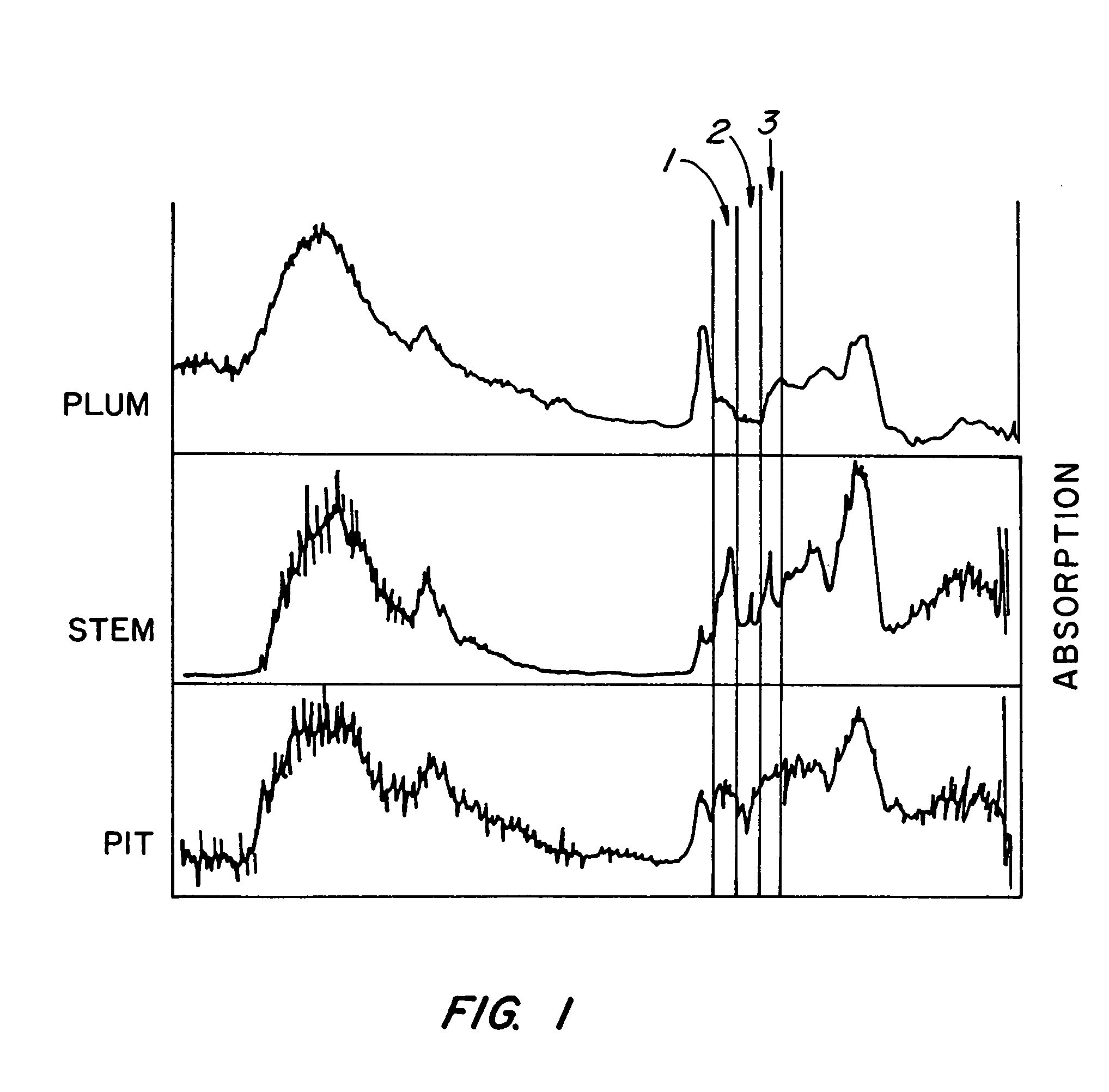 Disinfection, destruction of neoplastic growth, and sterilization by differential absorption of electromagnetic energy