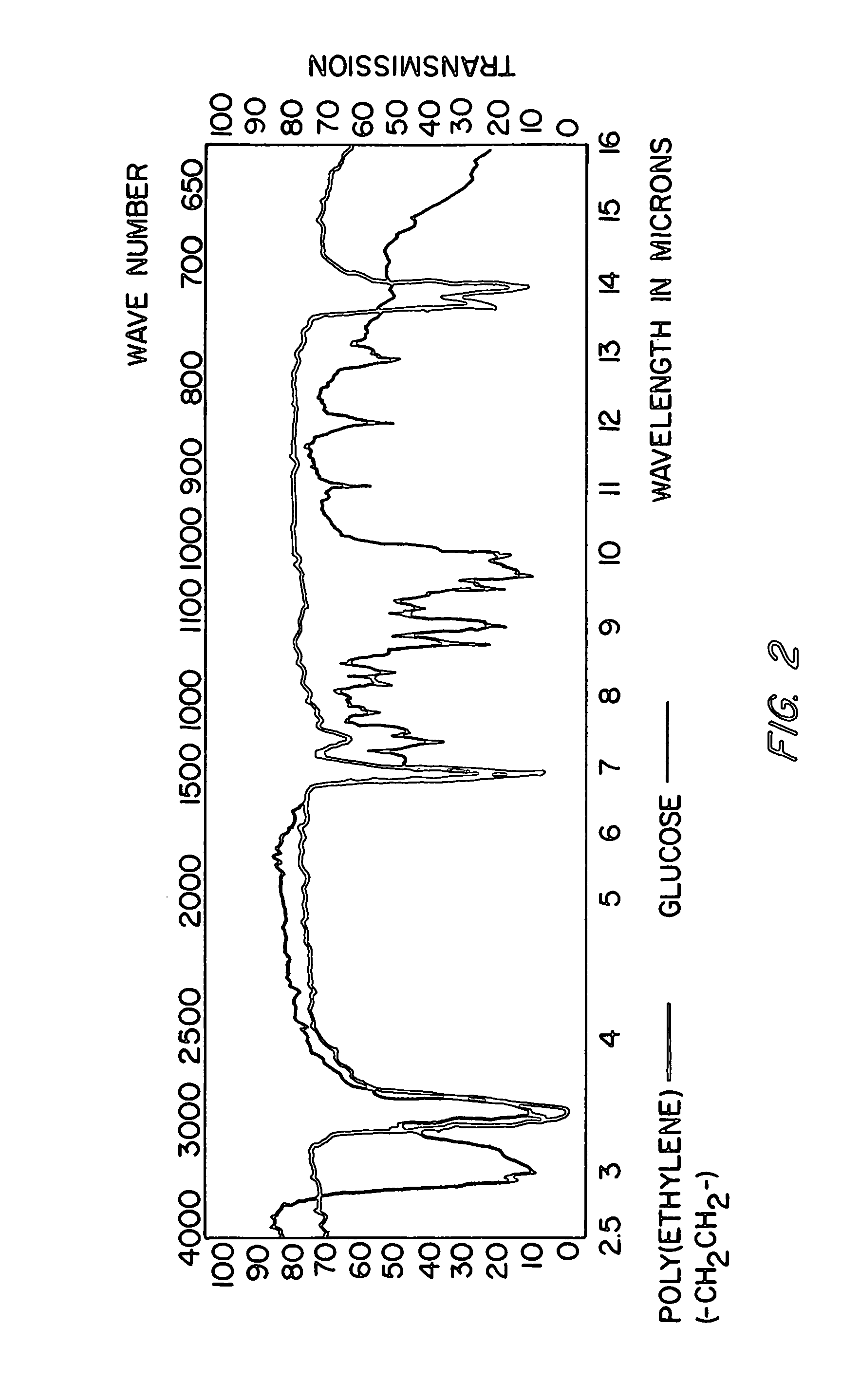 Disinfection, destruction of neoplastic growth, and sterilization by differential absorption of electromagnetic energy