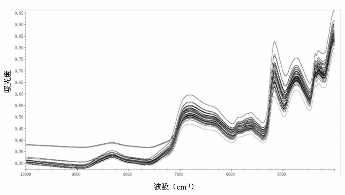 Near infrared spectroscopy analysis rapid detection method of rice freshness