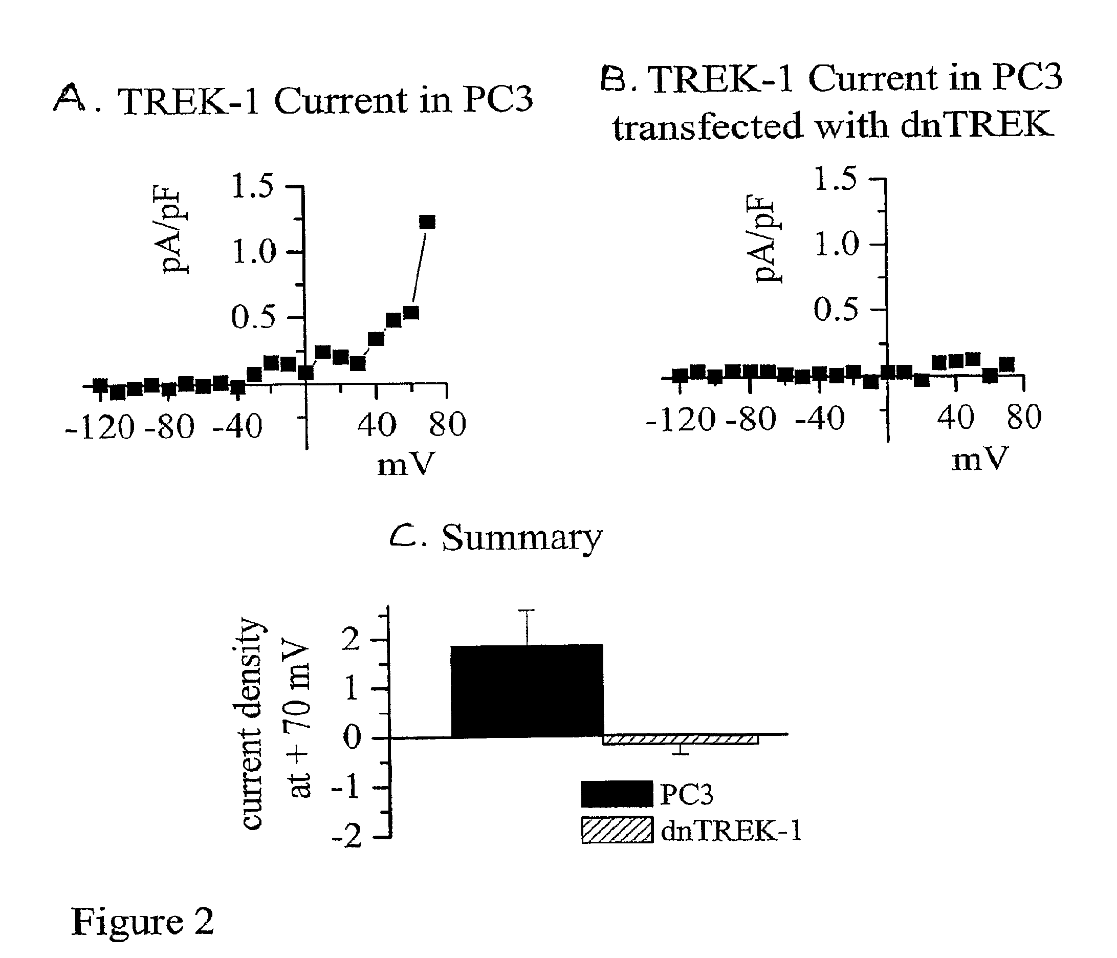 Two pore channels as regulators of proliferation in cancer