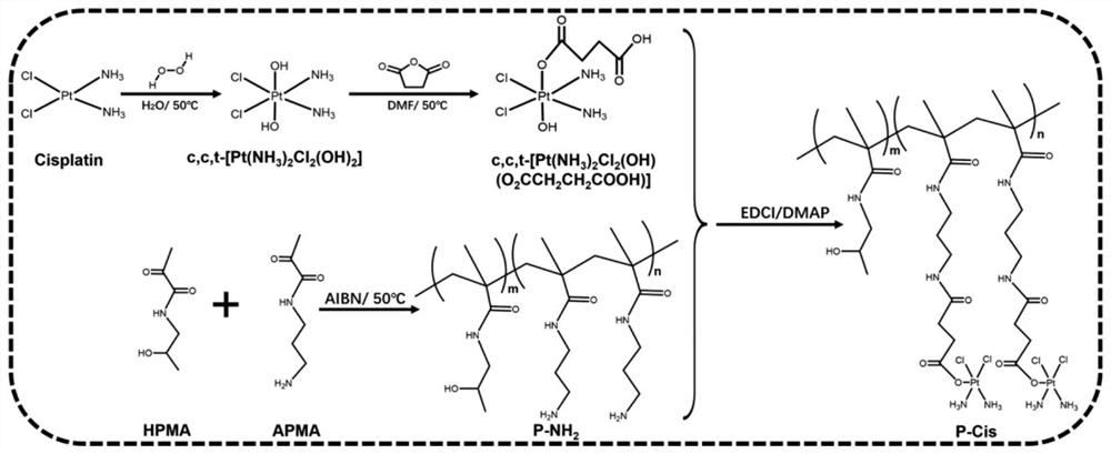 Combined medicine capable of simultaneously amplifying immunogenic cell death and enhancing anti-tumor effect