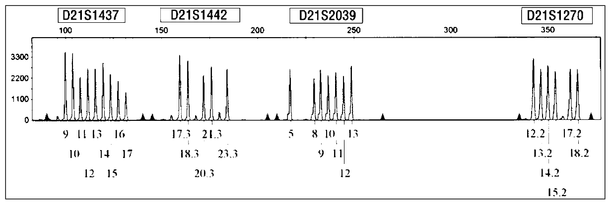 Kit for detecting genotype of human chromosome 21 STR (short tandem repeat)